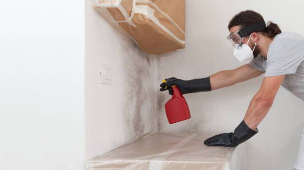 Professional Crawl Space Mold Remediation technician working in Margarettsville, NC