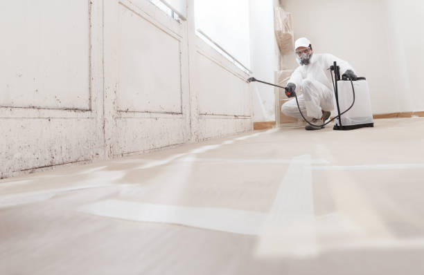 24/7 Emergency Crawl Space Mold Remediation experts in Margarettsville, NC